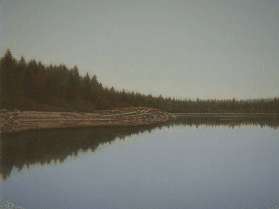 Detail crop of an oil painting focusing on a quiet shoreline with driftwood and fallen logs resting along the bank. Dense evergreen trees rise behind the shore, with fine brushwork and subtle reflections mirrored in the calm water. Oil painting by John Hansen