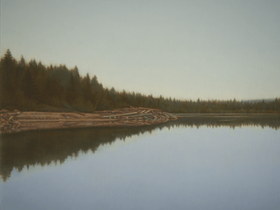 Detail crop of an oil painting focusing on a quiet shoreline with driftwood and fallen logs resting along the bank. Dense evergreen trees rise behind the shore, with fine brushwork and subtle reflections mirrored in the calm water. Oil painting by John Hansen